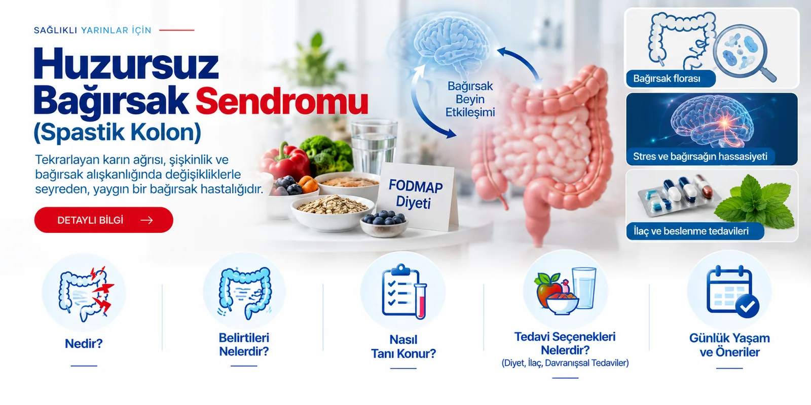 Huzursuz Bağırsak Sendromu (Spastik Kolon) – hasta bilgilendirme görseli